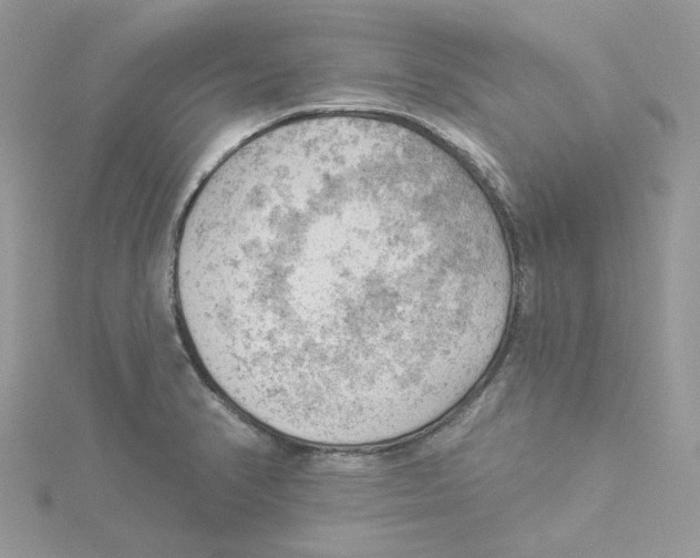 X0000114531374200911161328