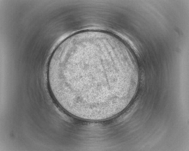 X0000114531375200911161328