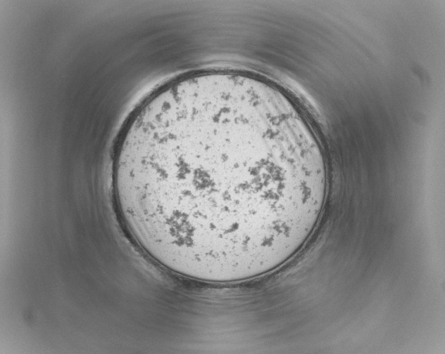 X0000114531376200911161328