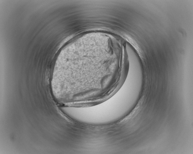 X0000114531377200911161328