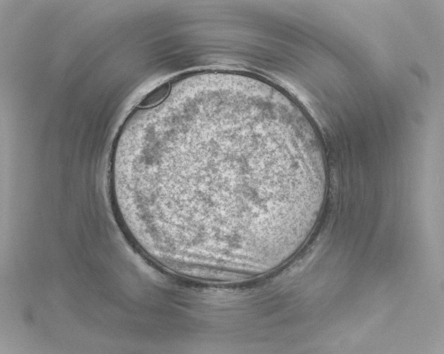 X0000114531379200911161328