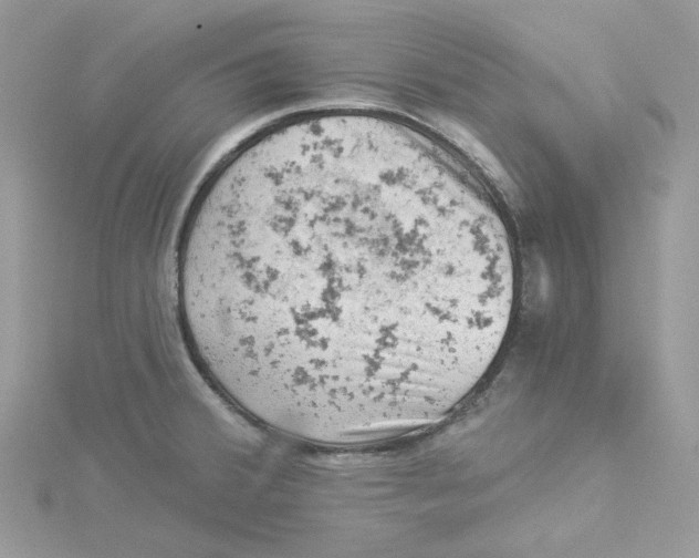 X0000114531380200911161328