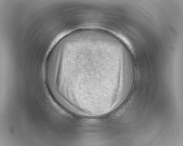 X0000114531382200911161328