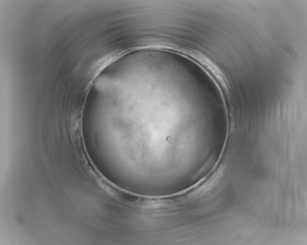 X0000114531385200911161328