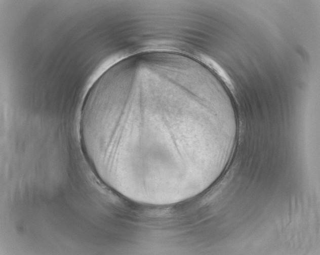 X0000114531386200911161328