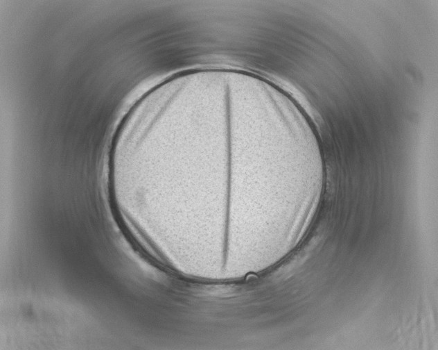 X0000114531387200911161328