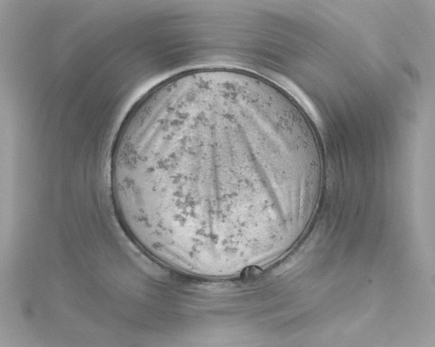 X0000114531388200911161328