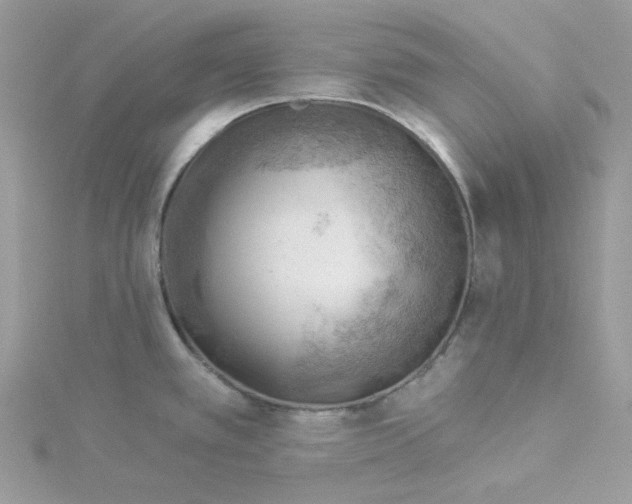 X0000114531389200911161328