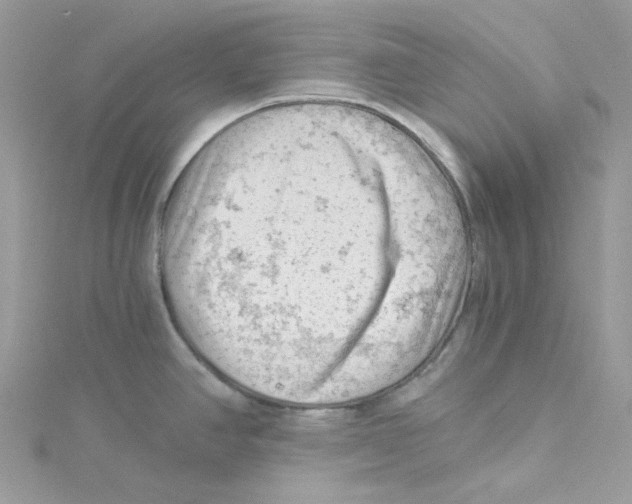 X0000114531390200911161328