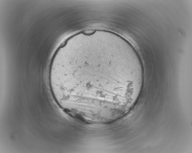 X0000114531392200911161328