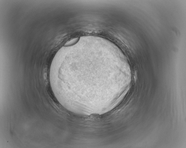 X0000114531396200911161327