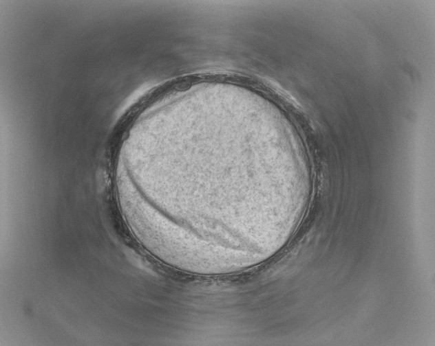 X0000114531400200911161327