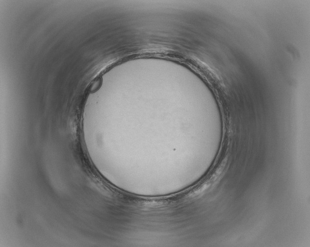 X0000114531401200911161327