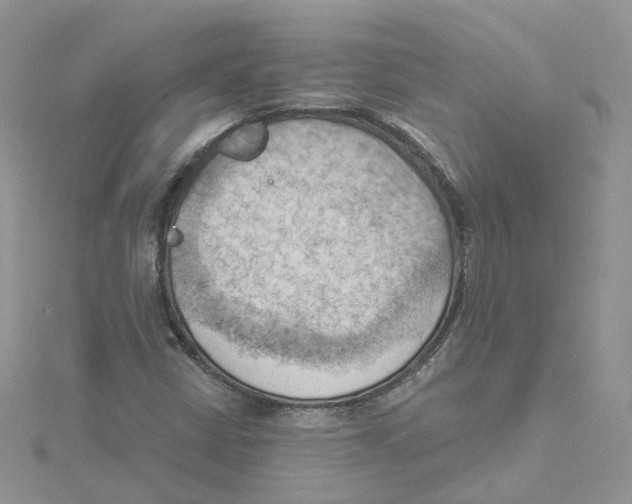 X0000114531402200911161327