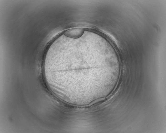 X0000114531407200911161327