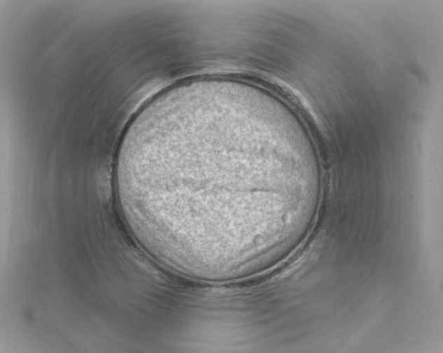 X0000114531409200911161327