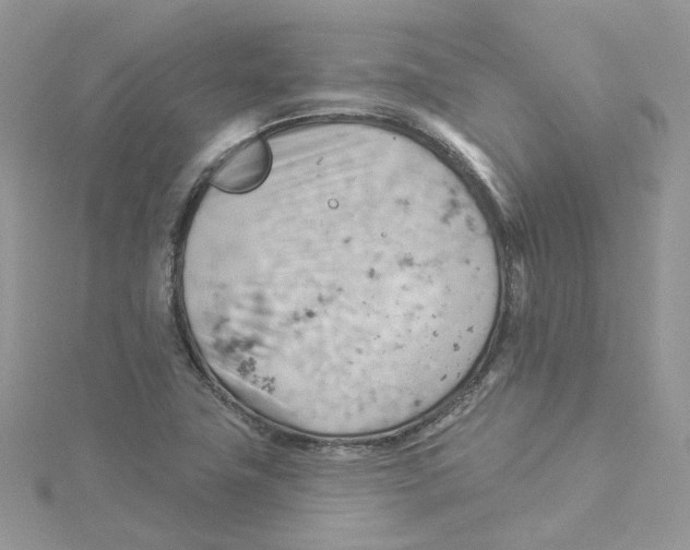 X0000114531411200911161327