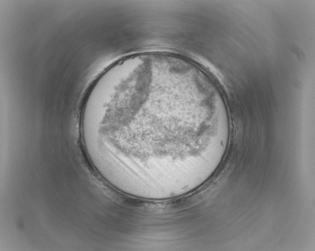 X0000114531415200911161327