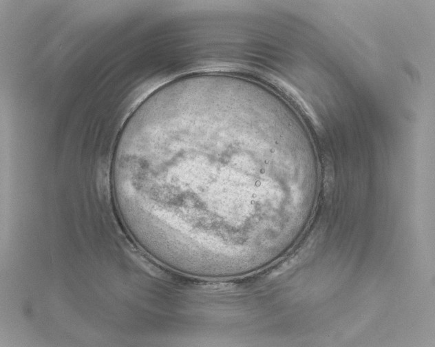 X0000114531417200911161327