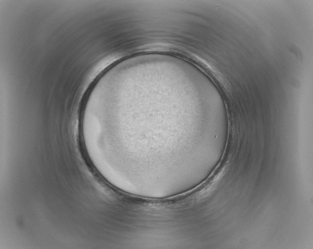 X0000114531418200911161327