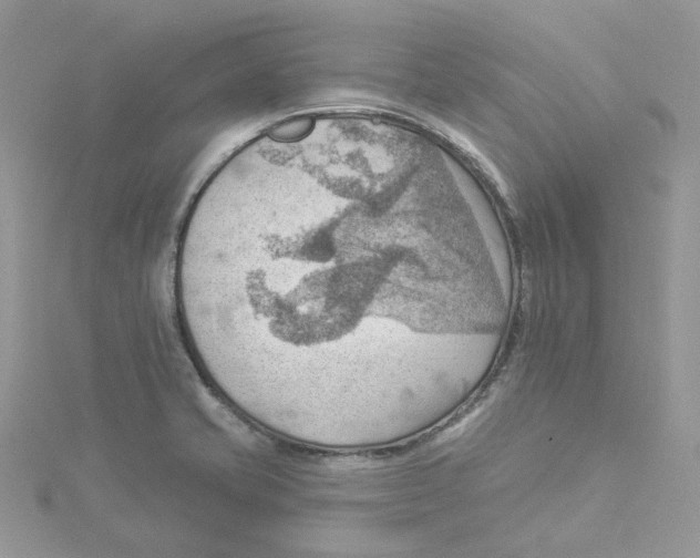 X0000114531421200911161327