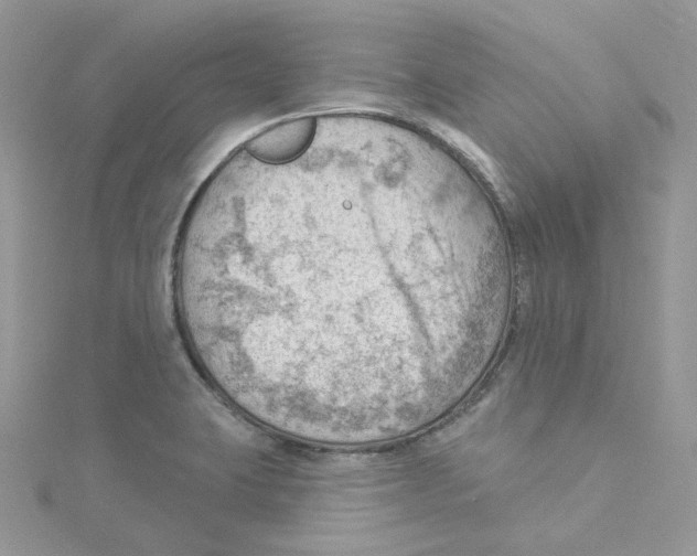 X0000114531423200911161327