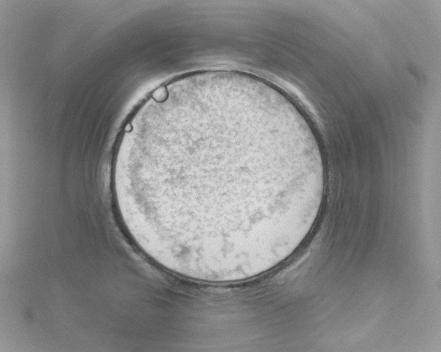 X0000114531424200911161327