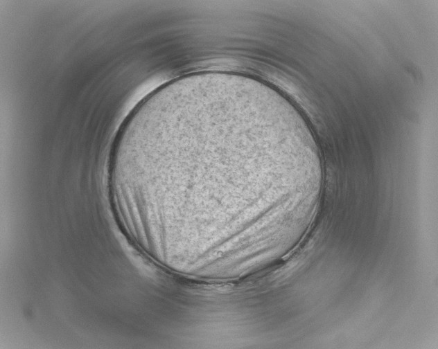 X0000114531426200911161327