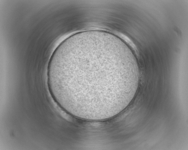 X0000114531431200911161328