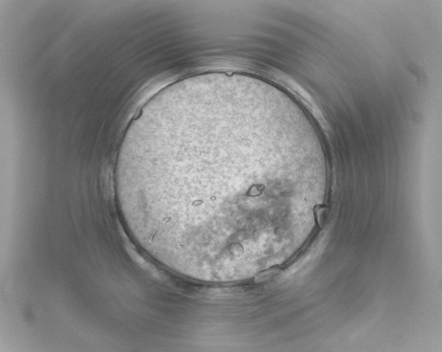 X0000114531433200911161328