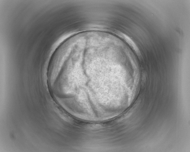 X0000114531435200911161328