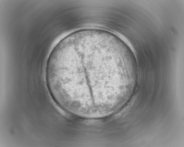 X0000114531437200911161328