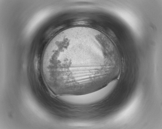 X0000114531438200911161328