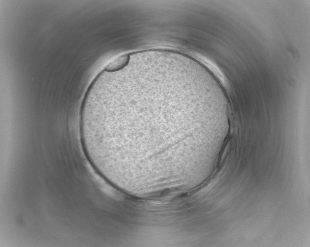 X0000114531439200911161328