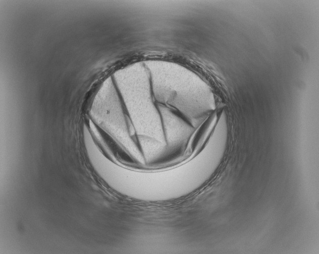 X0000114531445200911161327