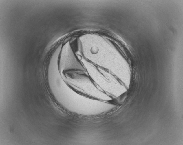 X0000114531448200911161327