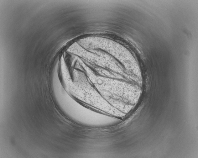 X0000114531449200911161327