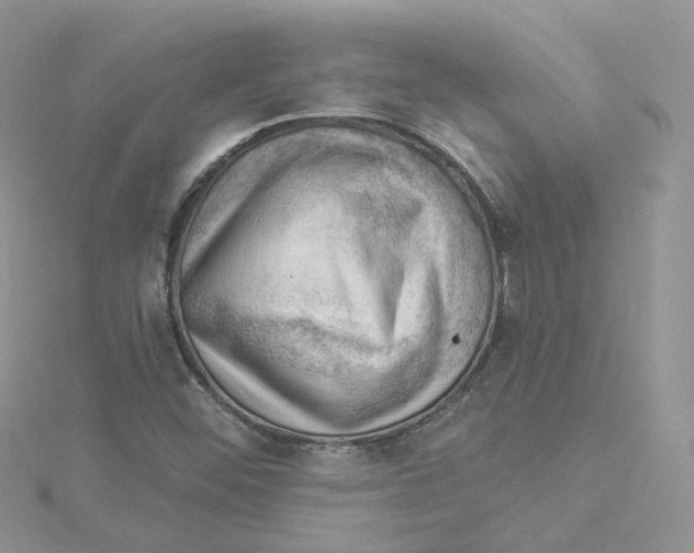 X0000114531452200911161327