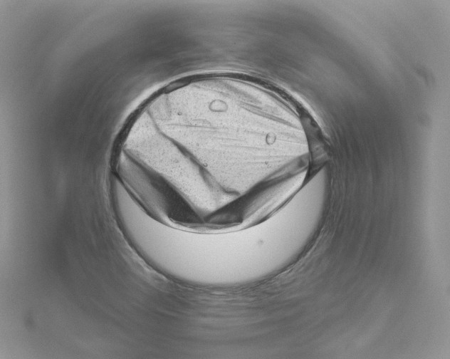 X0000114531460200911161327