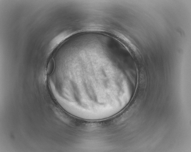 X0000114531461200911161327