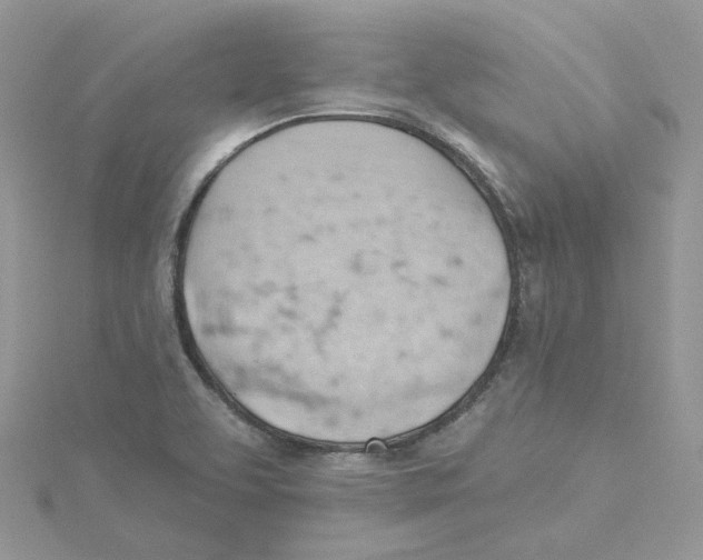 X0000114531463200911161327