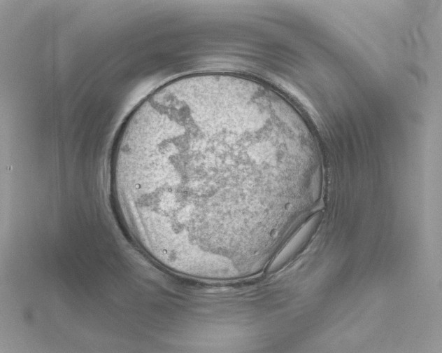 X0000114531467200911161327