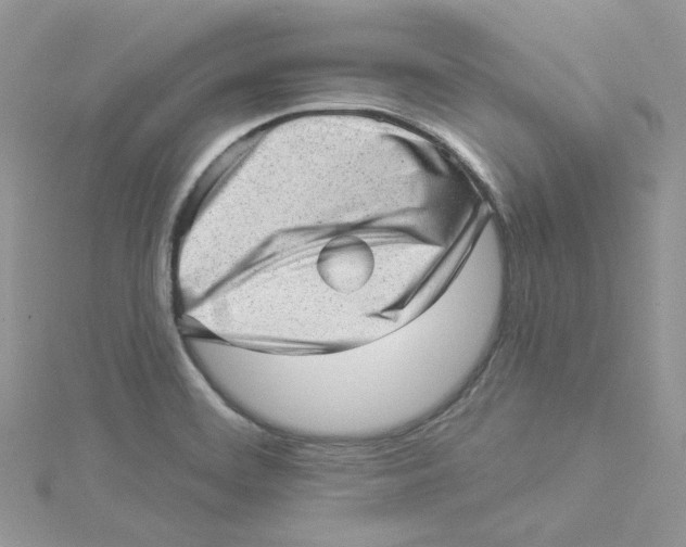 X0000114531468200911161327