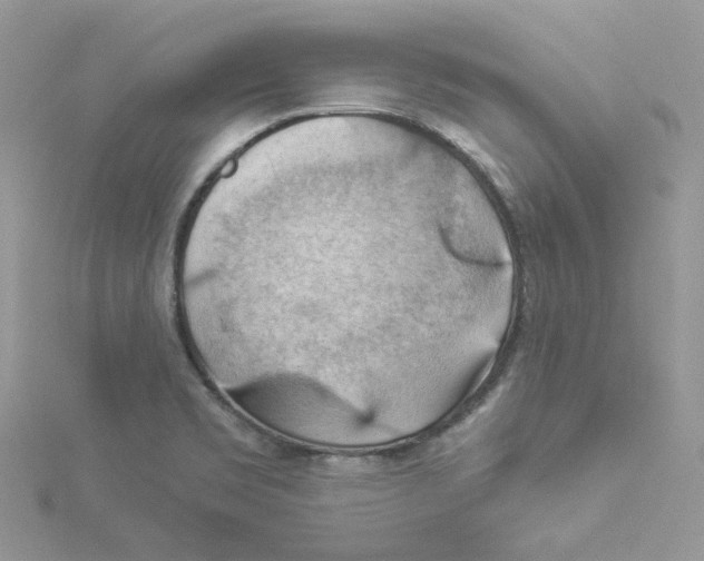 X0000114531469200911161327