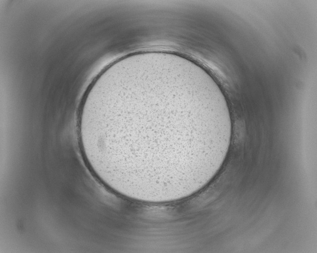 X0000114531470200911161327