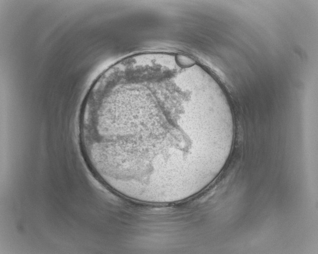 X0000114531471200911161327