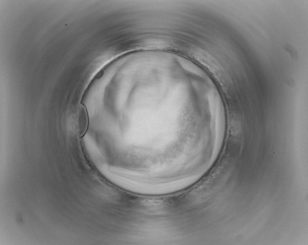 X0000114531473200911161327