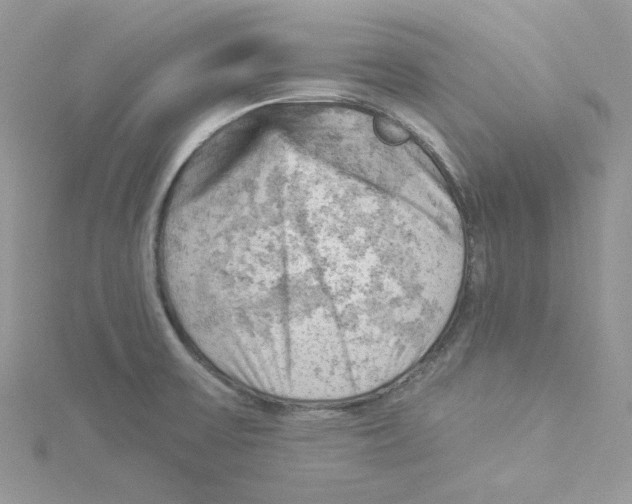 X0000114531475200911161327