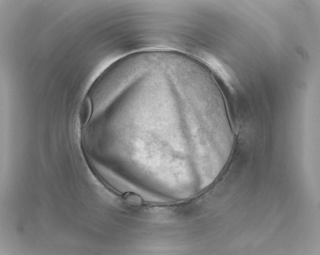 X0000114531476200911161327