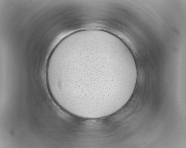 X0000114531478200911161327